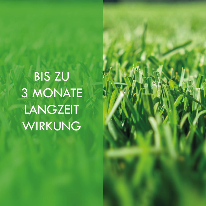 OPTI-GROW SOMMER 15+5+8