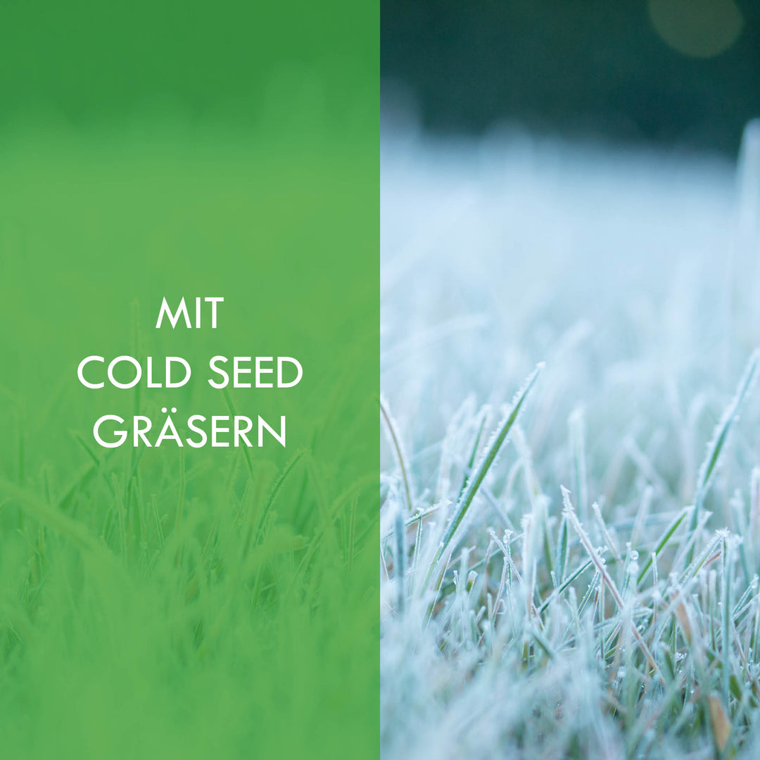 OPTI-SEED - COLD SEED REGENERATIONSRASEN RSM 3.2