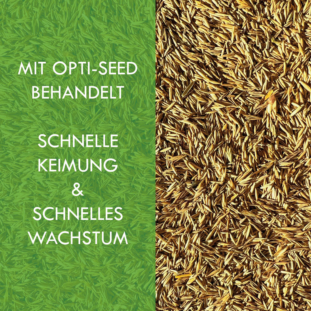 OPTI-SEED - COLD SEED REGENERATIONSRASEN RSM 3.2